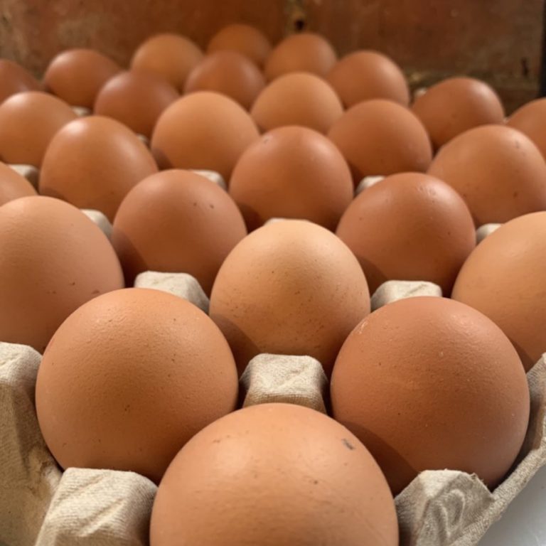 Read more about the article SPOTLIGHT ON EGGS AND THEIR ROLE IN GLUTEN-FREE BAKING