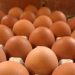 Spotlight on eggs and their role in baking