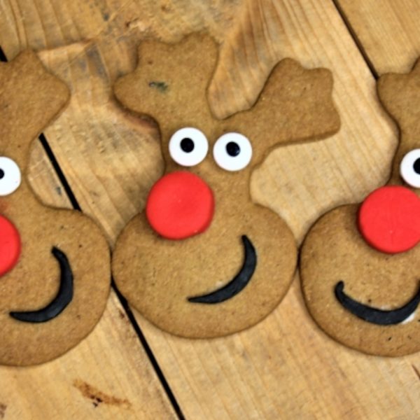 GLUTEN-FREE GINGERBREAD BISCUIT MIX